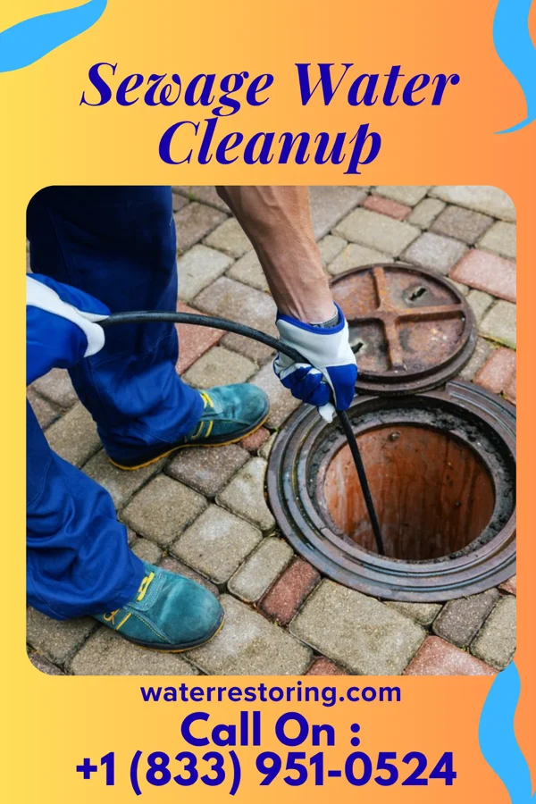 Sewage Water Cleanup in Weldon, NC